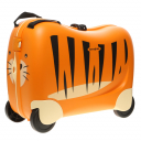 Samsonite,  , ck8.096.001